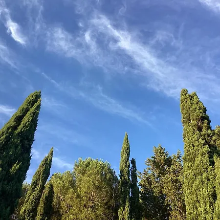 La Casa D'ambra