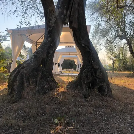 La Casa D'ambra Torre A Castello