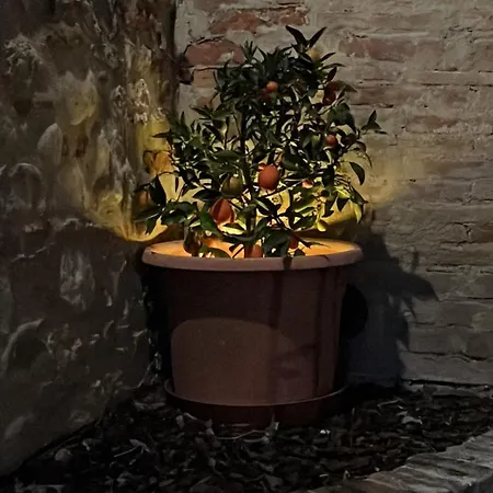 La Casa D'ambra ヴィラ